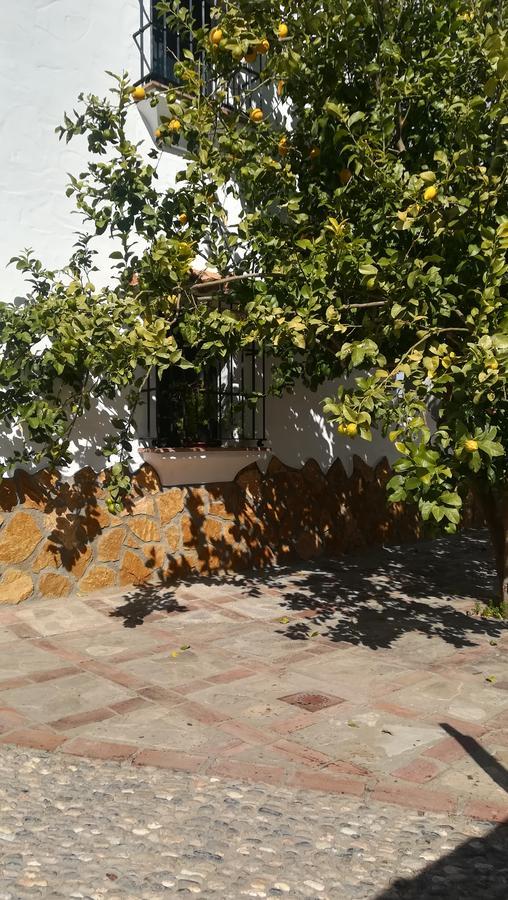 El Penon Villa Zahara De La Sierra Dış mekan fotoğraf